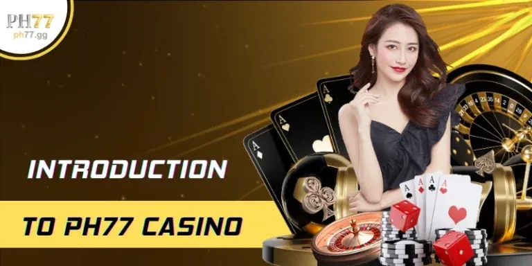 Giấy phép hoạt động và chính sách tuân thủ của vf555