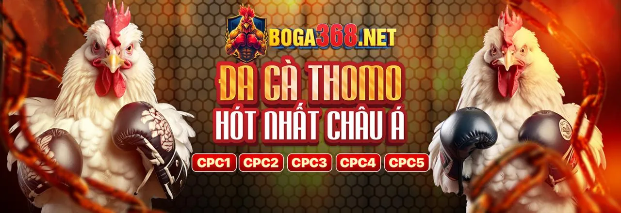 Trải nghiệm Tài Xỉu vf555 trực tuyến đẳng cấp